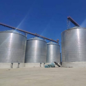 Vertical Sealed Coffee Bean Paddy Rice Storage Silo/Maize Milk Grain Corn Steel Silo for Sale