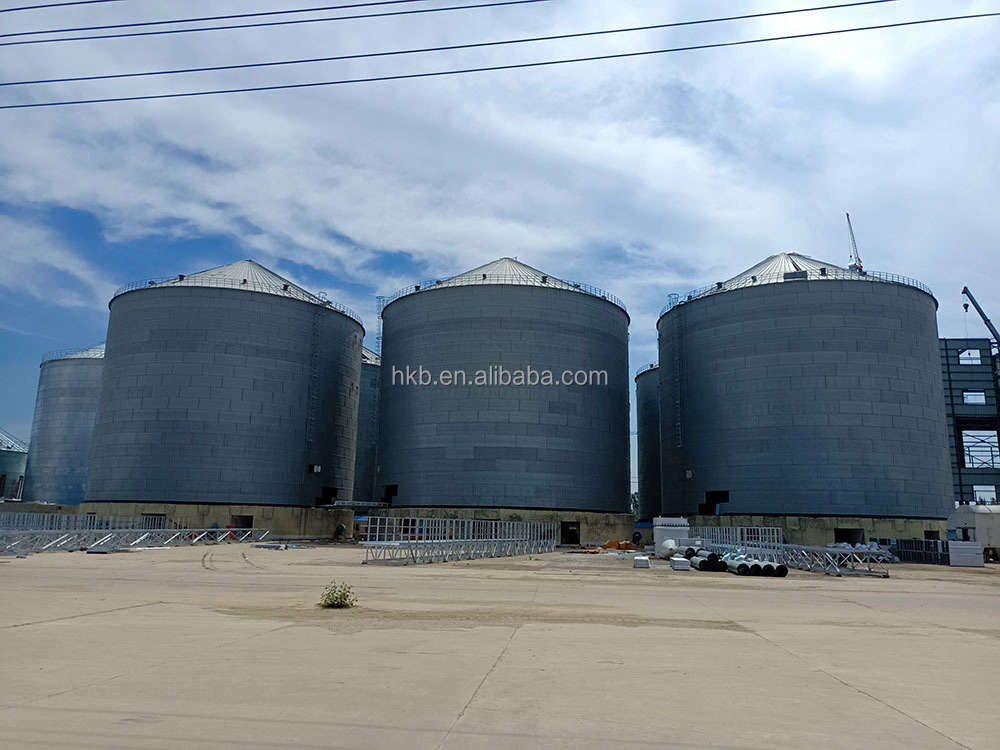 China Top Supplier Hopper Bottom Grain Silo