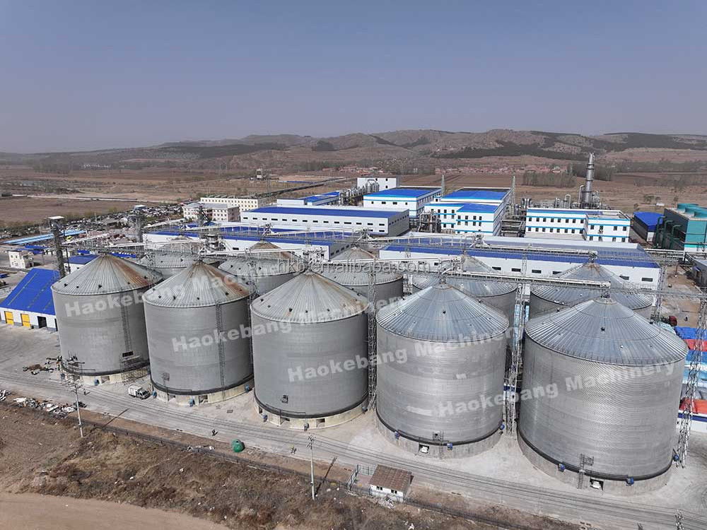 2000 Tonne Grain Storage and Drying Carbon Steel Silo Price Clinker Silo