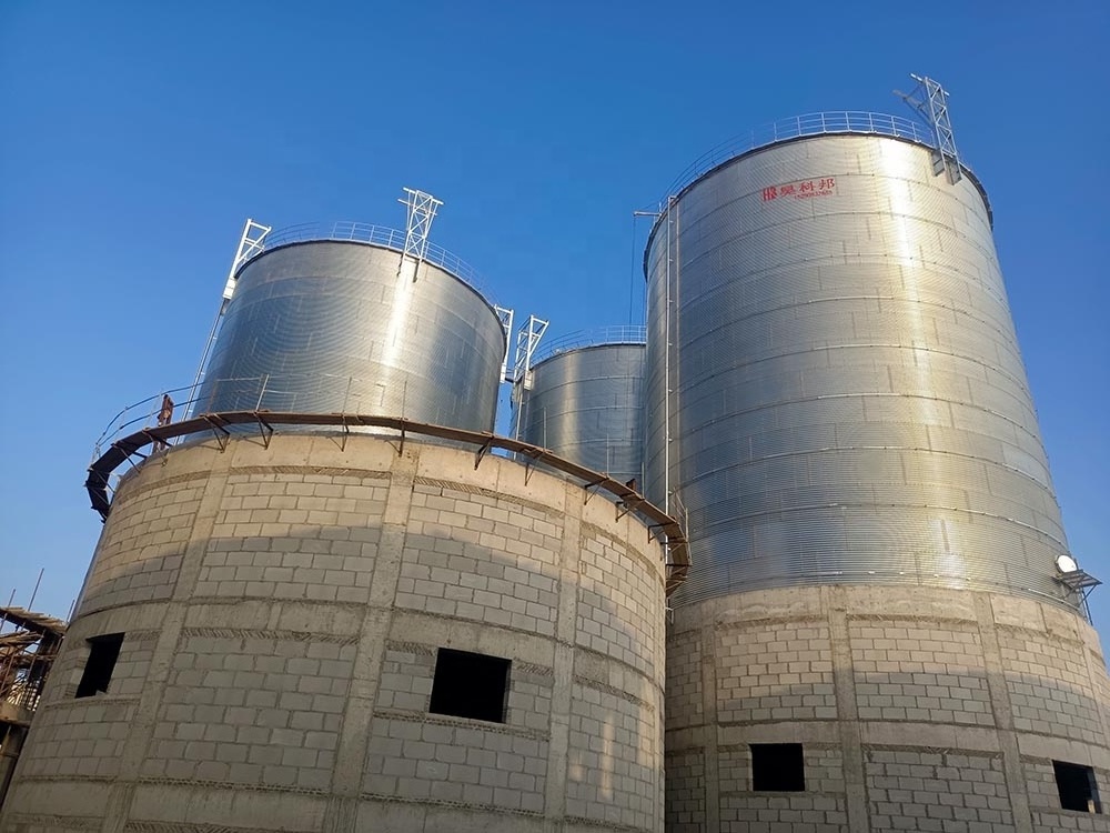 500 Tons 1000t Grain Silos Prices Assembly Galvanized Stainless Steel Silo