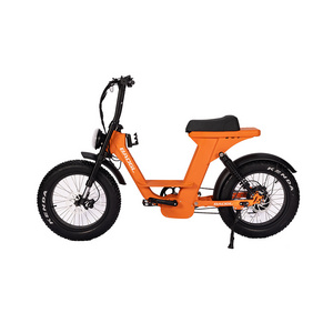 2023 new trend electric fat tire bike 20 inch full suspension city bicycle customize electric hybrid bike US EU