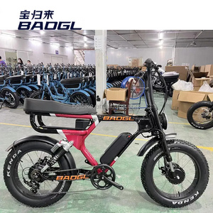 Fat Tire Electric city Bicycles 20 Inch Fat Tire Ebike 48V 1000W Electric Bicycle