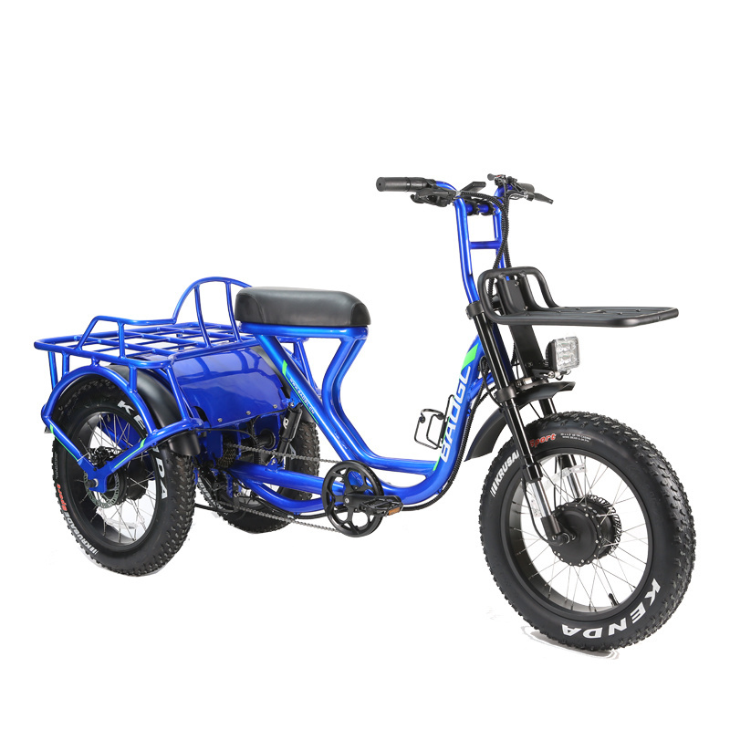 Electric Tricycle Hunting Cargo Electric Trike 20 Inch Fat Tire Electric Bike 3 Wheel E Trike with 48V 500W Dual Motor