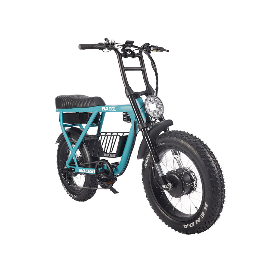 European Warehouse super electric fat tire city bicycle dual motor mountain ebike 73 customize 1000w electric hybrid bike