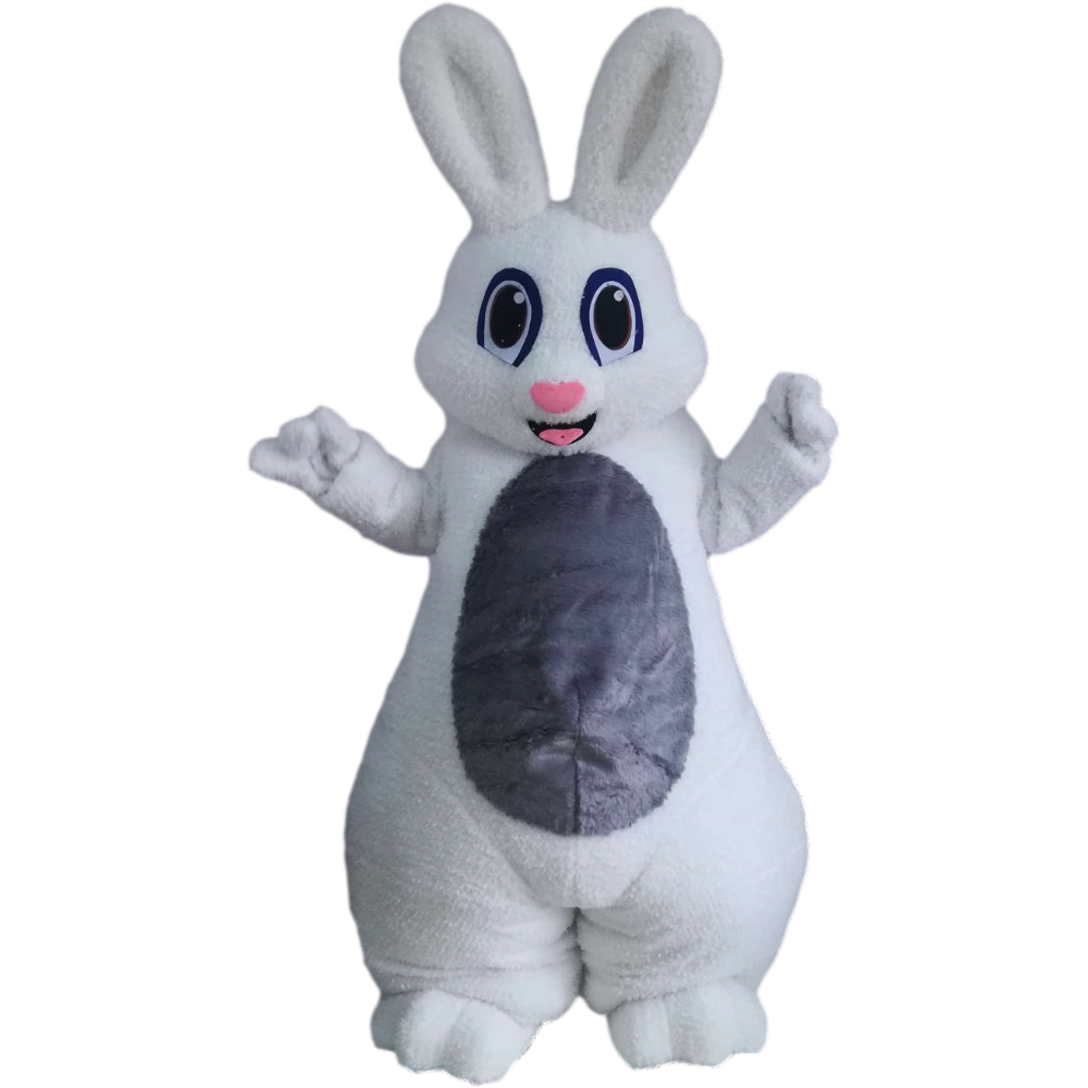 Custom Easter/Halloween Kids Party Oem Mascot Costumes