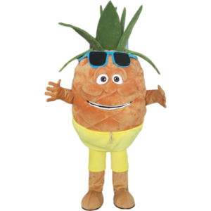 Custom made pineapple mascot costumes adult size ananas mascot design for sale