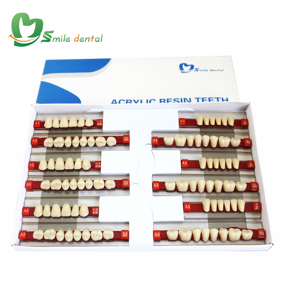 Dental Acrylic Resin Teeth Denture Teeth Artificial Teeth False Tooth