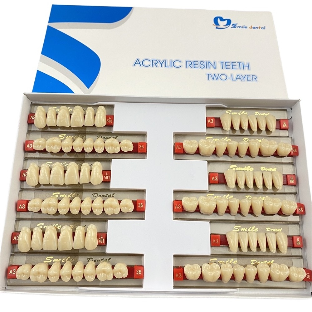 Dental Acrylic Resin Teeth Denture Teeth Artificial Teeth False Tooth