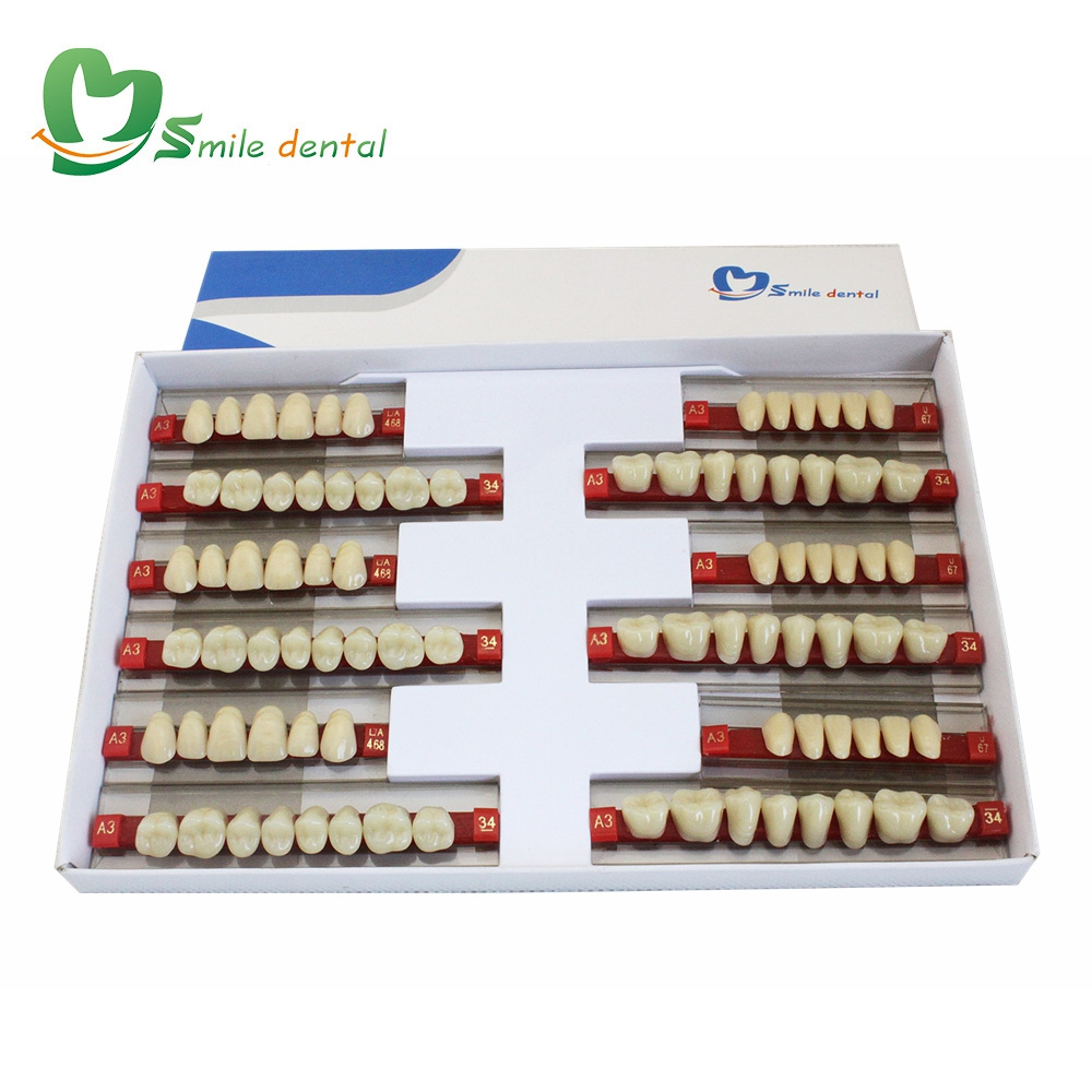 Dental Acrylic Resin Teeth Denture Teeth Artificial Teeth False Tooth