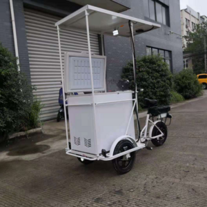 Ice Cream Trolley Factory Customization 108l 67w with Electric Bike for Motor 35kms Per Mobile Restaurant R134a Refrigeration