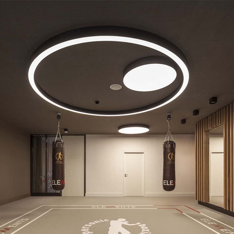 60W/80W/100W Ring LED Ceiling Modern Circle Led Pendant Light Led Chandelier Lighting For Lobby Corridor Hotel