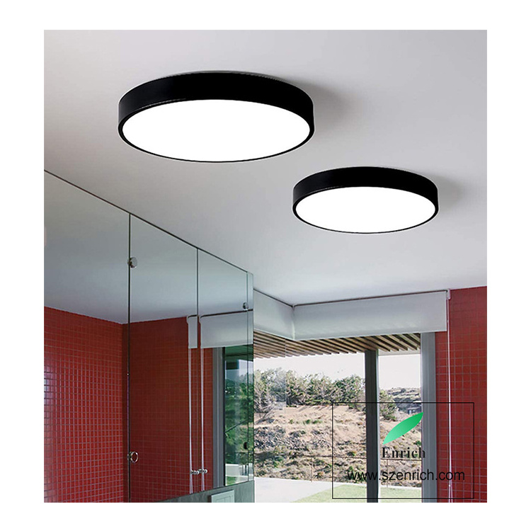 Surface Mounted Ceiling Lamp  Round Pendant Lights Fixtures for Hotel Lighting Projects