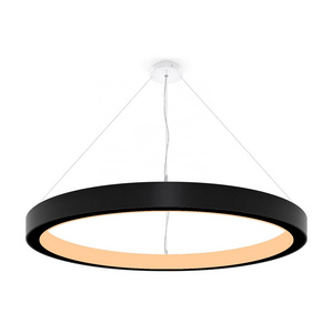 Inner Nordic Ring Led Ceiling Chandelier Dimmable Restaurant Living Room Bedroom Ceiling Light Home Decor Lighting Fixture