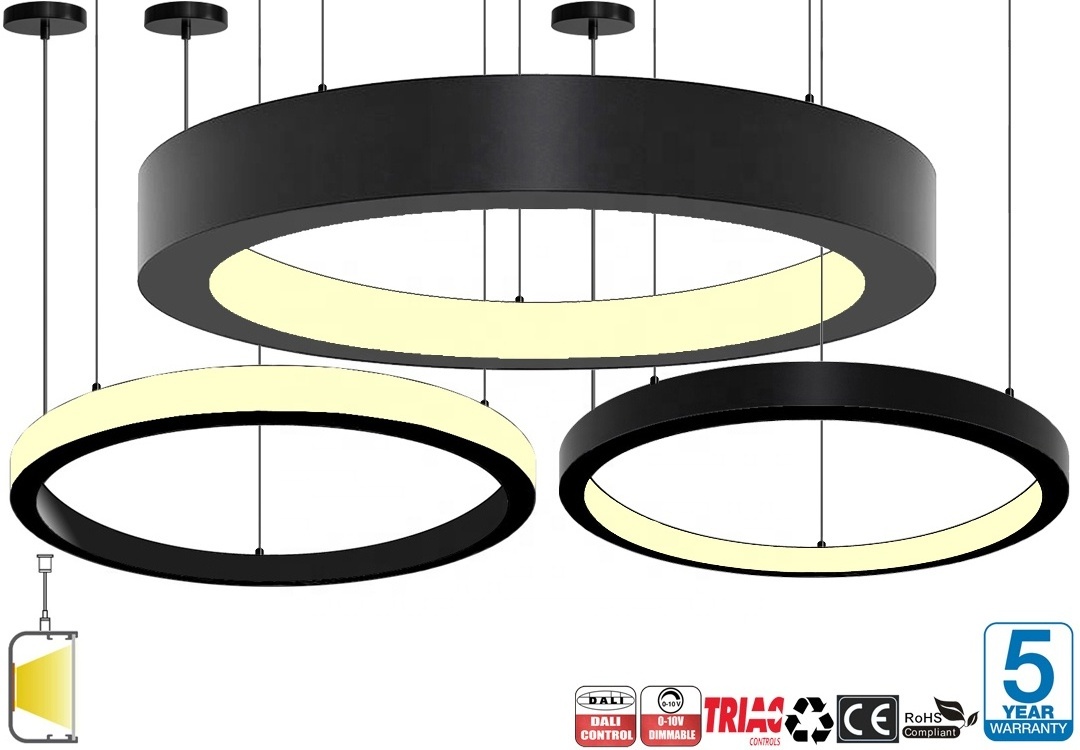 Inner Nordic Ring Led Ceiling Chandelier Dimmable Restaurant Living Room Bedroom Ceiling Light Home Decor Lighting Fixture