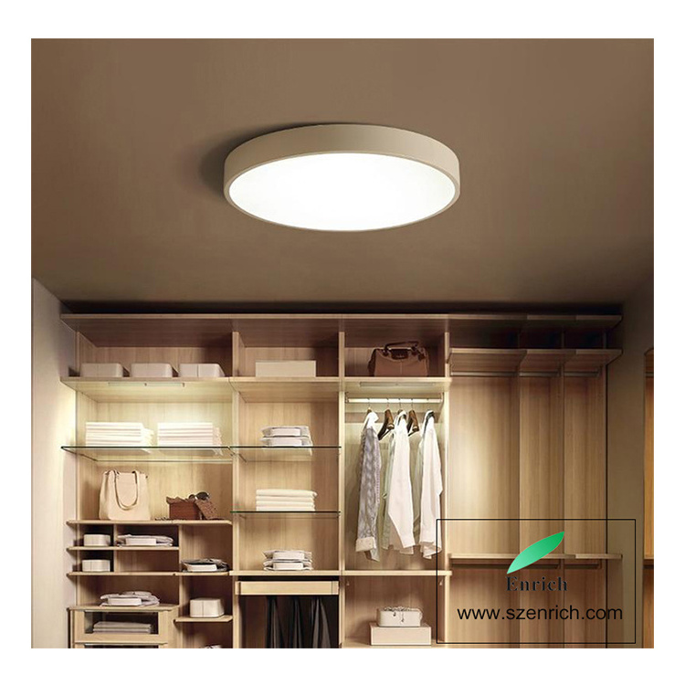 Surface Mounted Ceiling Lamp  Round Pendant Lights Fixtures for Hotel Lighting Projects