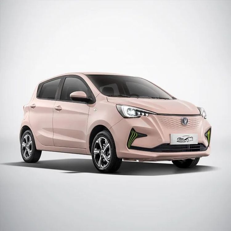 New EV Car Changan Benben E Star 310KM 4 Seats Mini Ev Electric Car Simple Convenient parking Cheap New Energy Vehicles