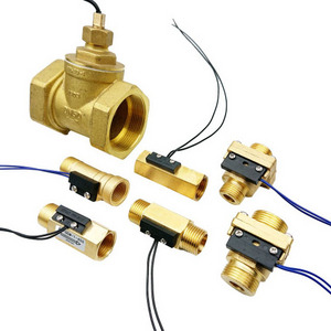 Wholesale high quality brass electrical control water heater flow switch