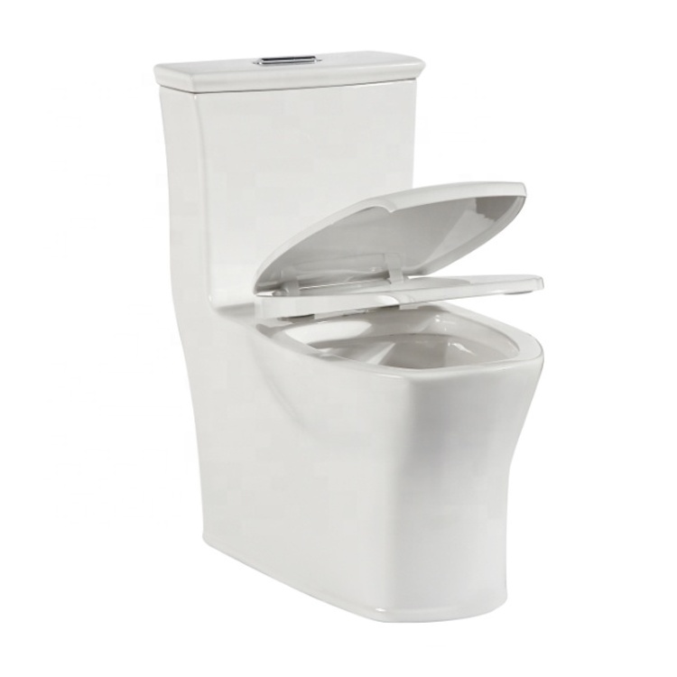 Vitreous China High Efficiency Elongated One-Piece Toilet, Dual-flush Water Closet 3094