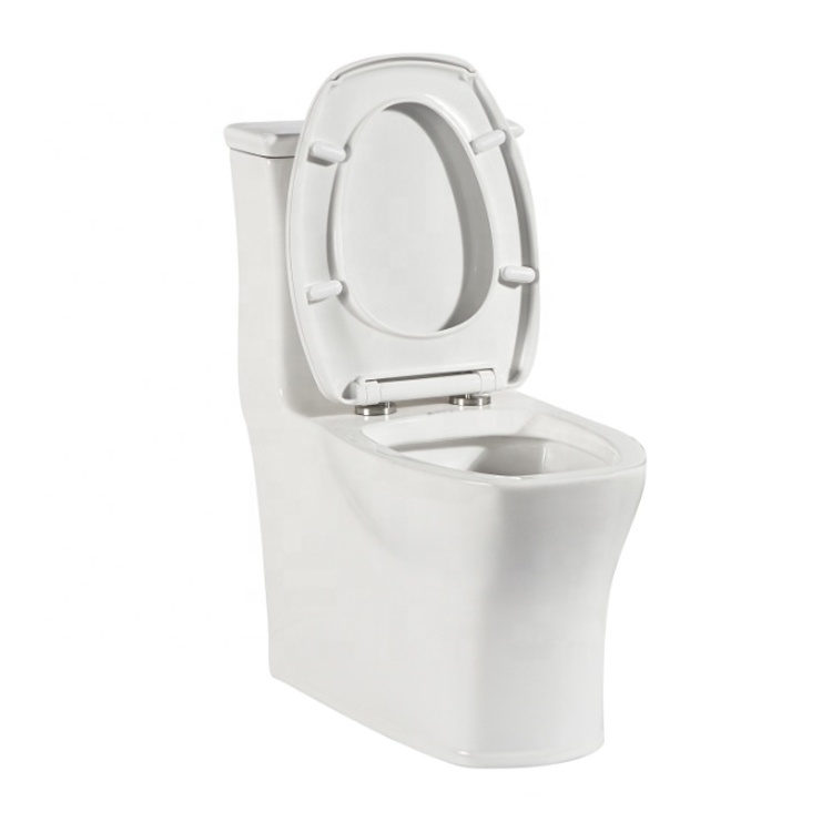 Vitreous China High Efficiency Elongated One-Piece Toilet, Dual-flush Water Closet 3094