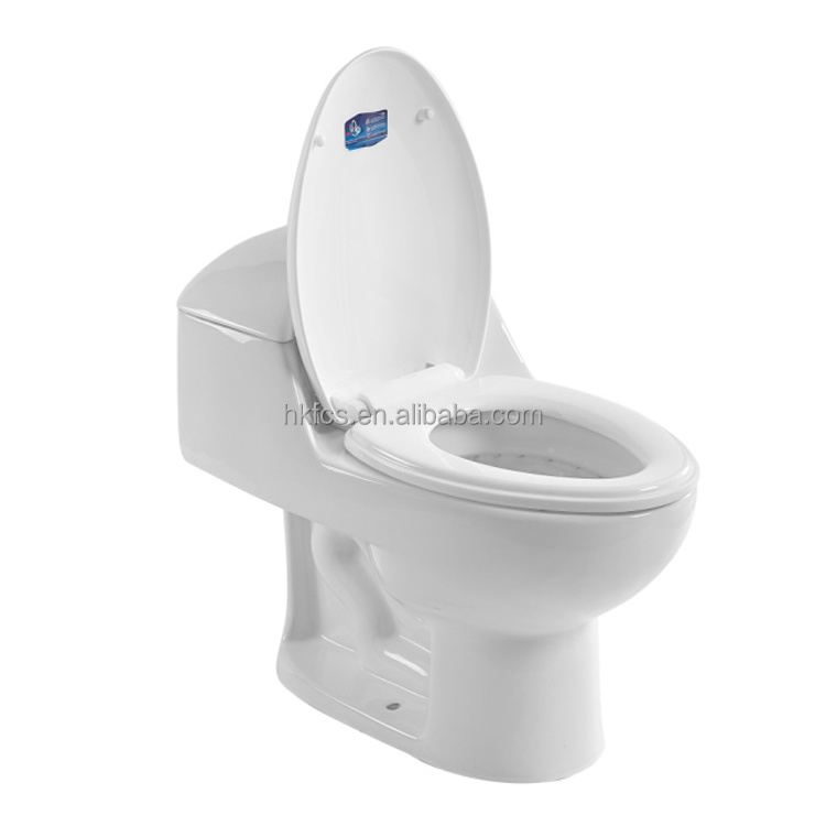 CSA Certificated Dual Flush One-Piece Elongated Rim Water Closet 8085