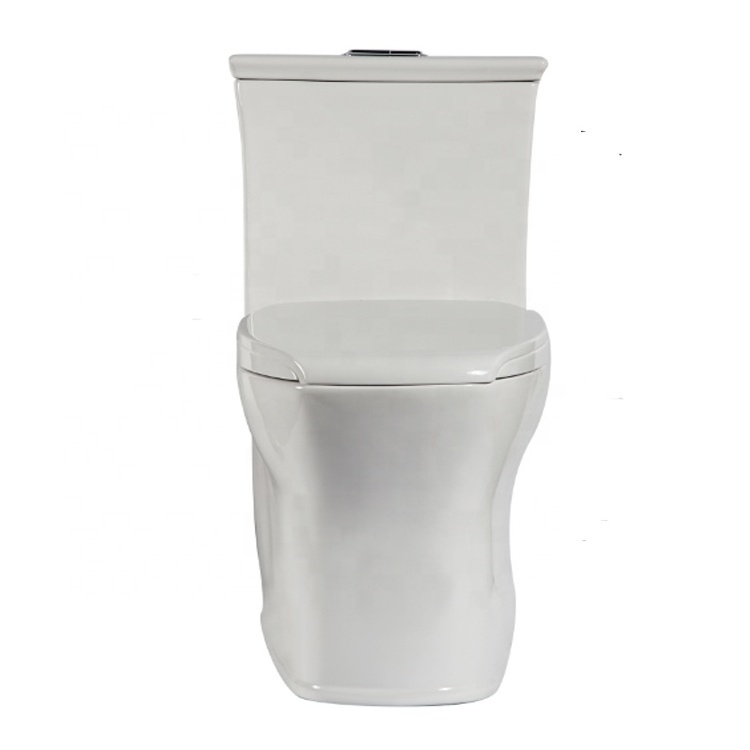 Vitreous China High Efficiency Elongated One-Piece Toilet, Dual-flush Water Closet 3094