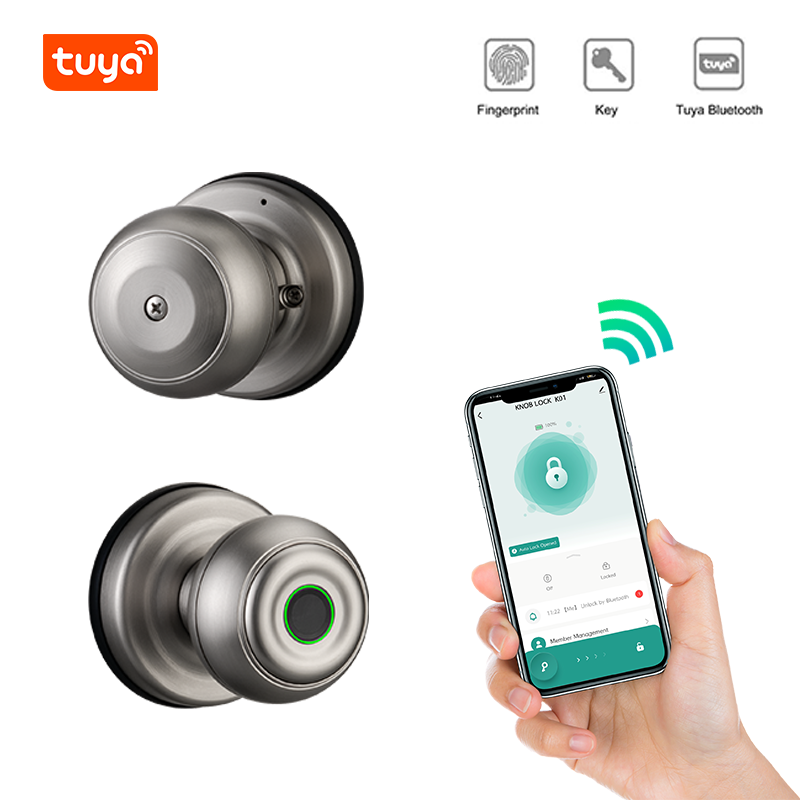 2023 Explosion  Anti theft proof Smart Door Lock Fingerprint Digital Password Tuya app Smart door Lock