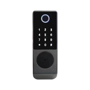 Home Security Remote Door Intelligent Fingerprint Password Deadbolt Smart Door Lock for Home Use