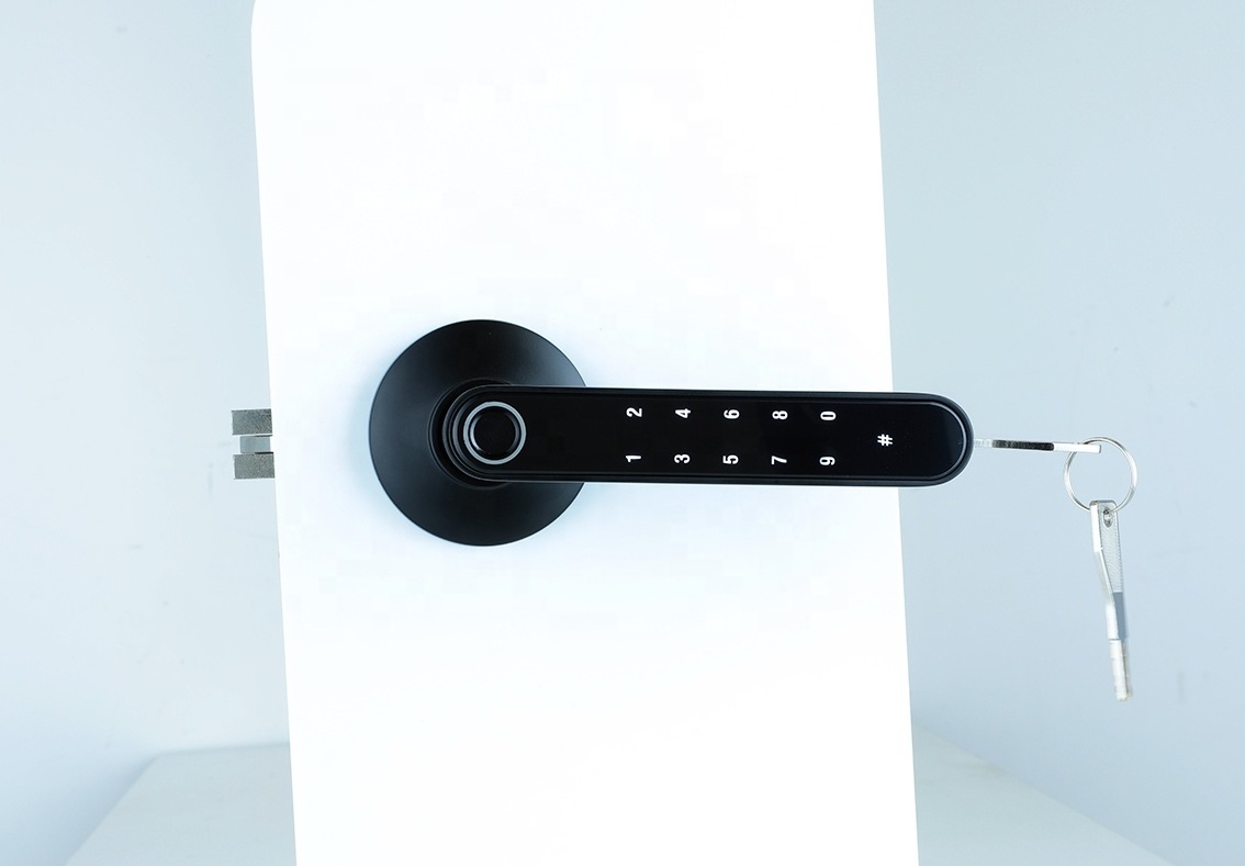 Intelligent Electronic Biometric Home Fingerprint Password Handle Lever ttlock smart door lock