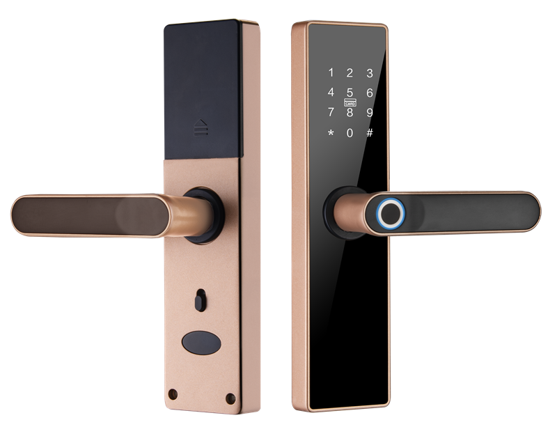 Indoor Door Lock Bedroom Tuyalock Wireless Remote Smart Lock Wooden Aluminum Alloy Door Password Room Office Wifi Cloud Locks