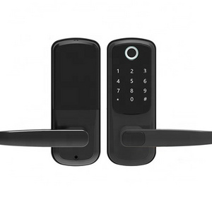 HAIDA B7 Electronic  Fingerprint/Password Glass Aluminum alloy Sliding Door Smart Lock with Remote Control