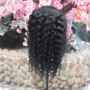 Wave and Curly 13 x 4 Transparent Lace Front Human Hair Wigs Swiss Lace Half Wigs Available in various densities and lengths