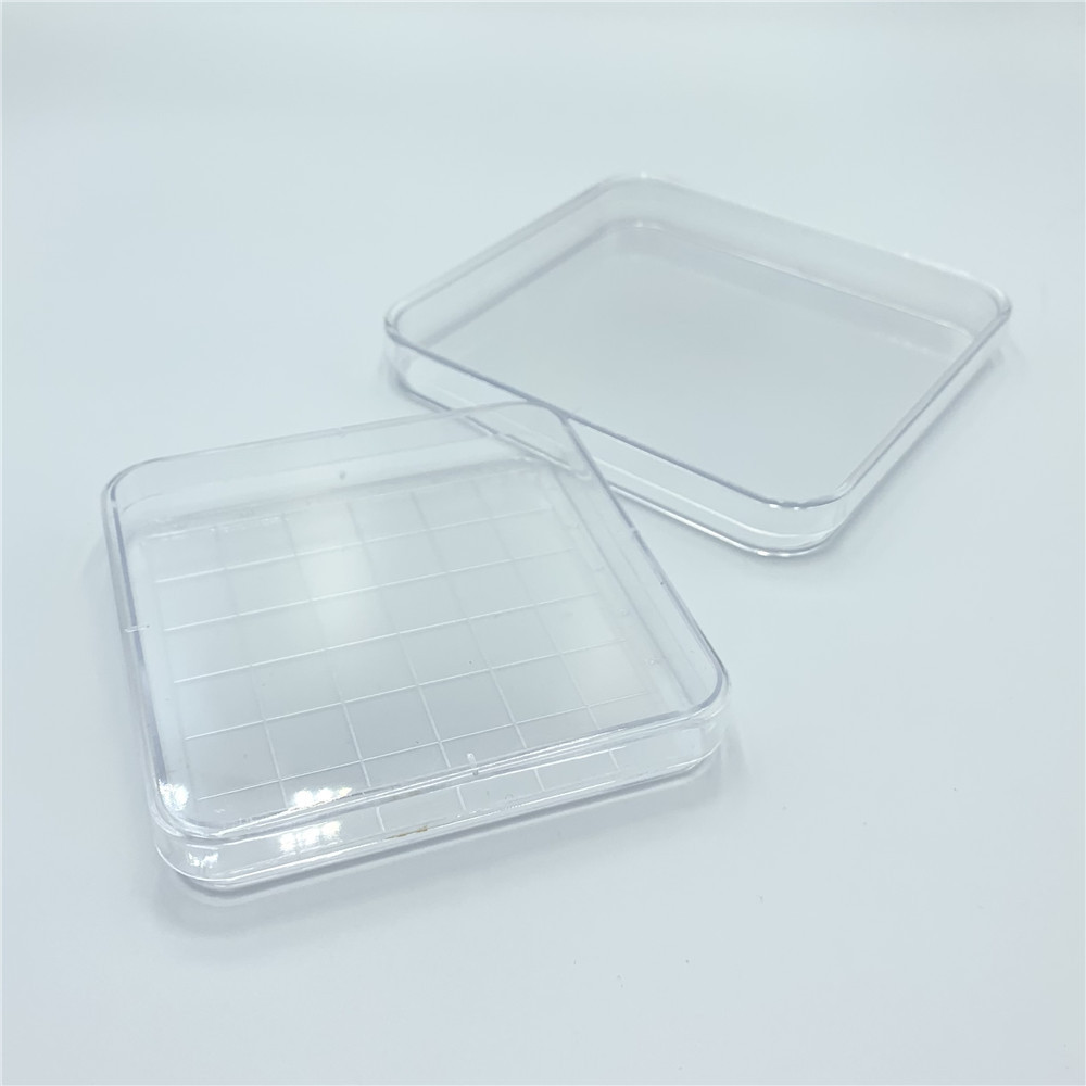 Wholesale   Square Tissue Culture Glass Petri Dish Of Different Type