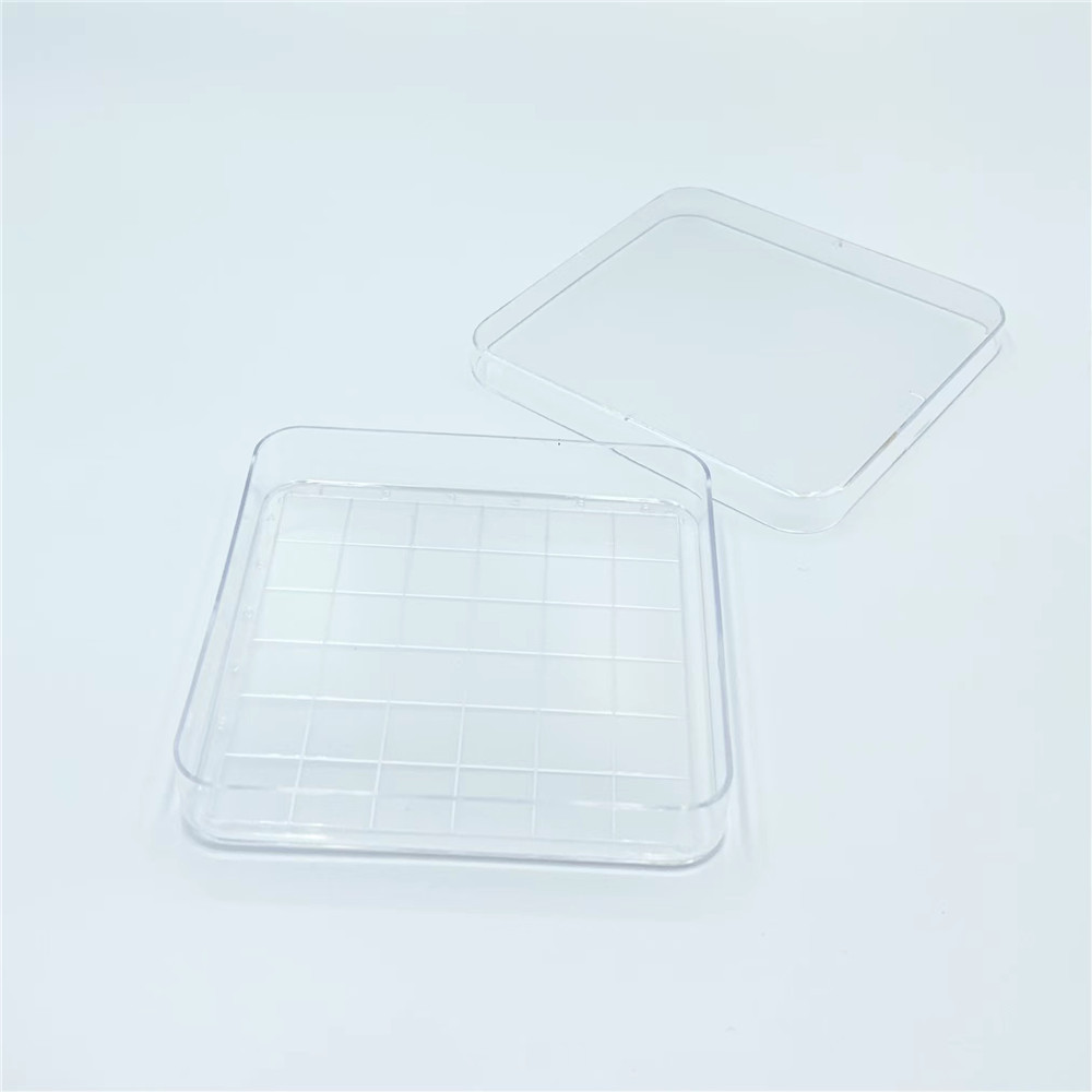 Wholesale   Square Tissue Culture Glass Petri Dish Of Different Type