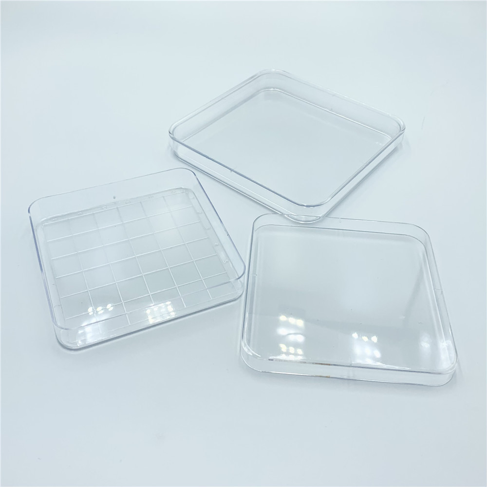 Wholesale   Square Tissue Culture Glass Petri Dish Of Different Type