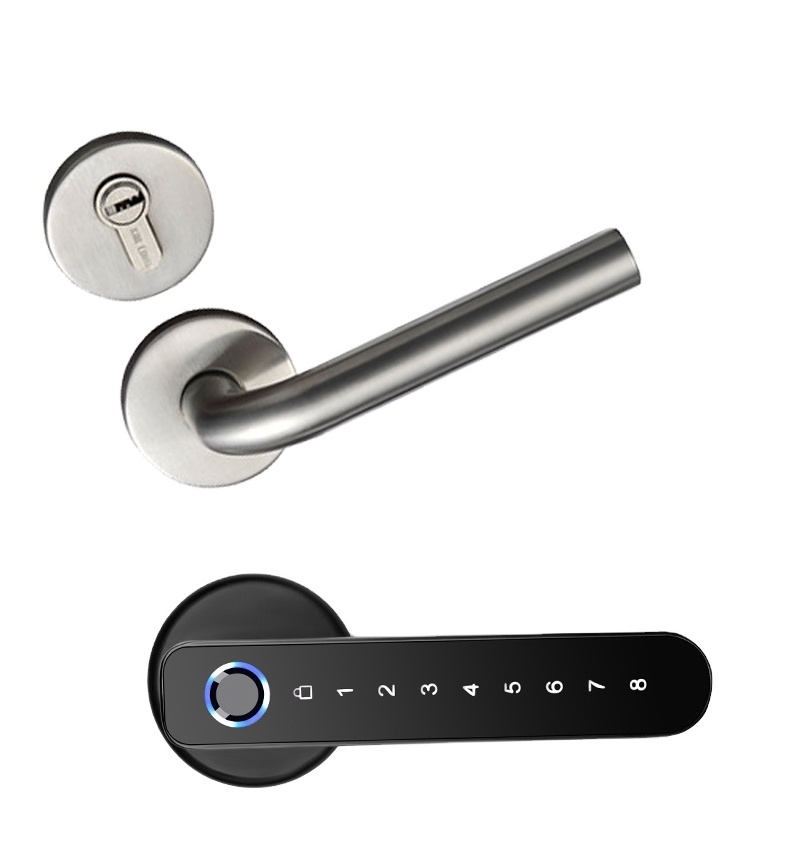 Fingerprint Lock with Handle Smart Digital Lock for Home Office Hotel Zinc Alloy Material Indoor Lever Security Lock