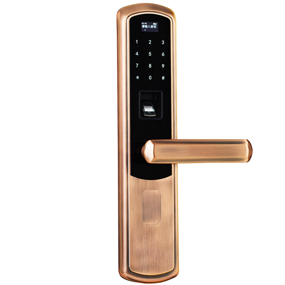 Advanced Smart Door Lock Fingerprint Double Sided Biometric Fingerprint Lock