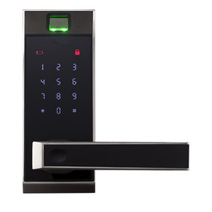 AL20B/ AL20DB Lever Lock With Touch Screen and Fingerprint biometric fingerprint door lock