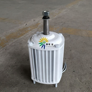 200w 300w 500w 1kw 1.5kw 2kw 3kw 5kw 10kw 20kw 30kw permanent magnet alternator generator