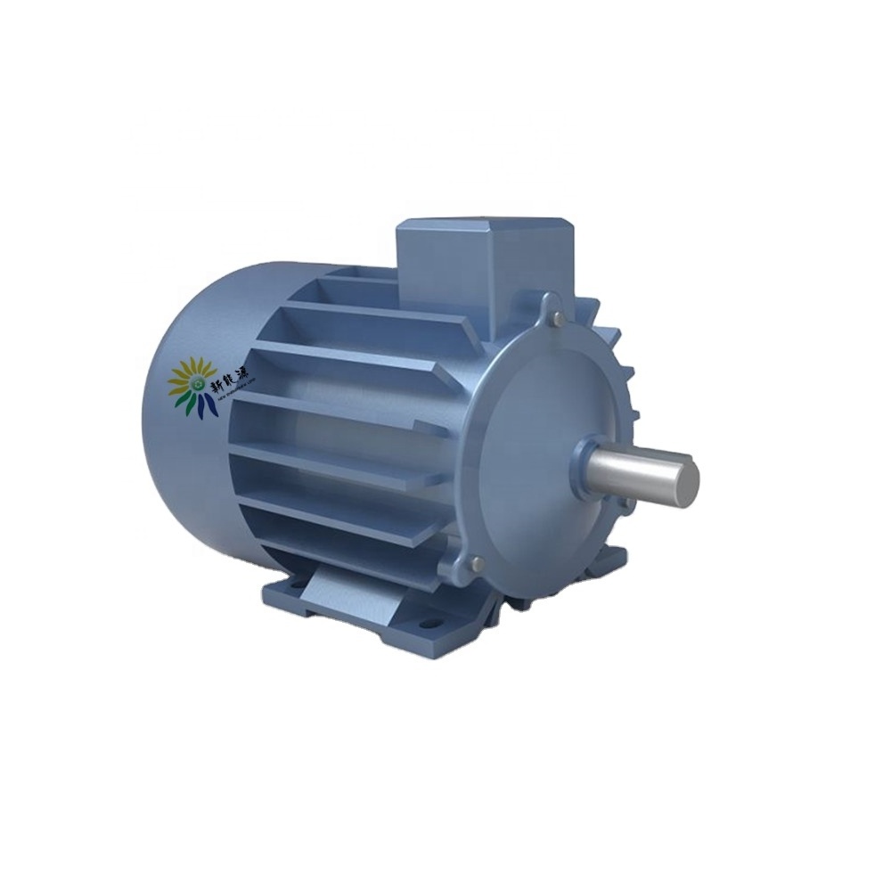 2000w low rpm synchronous alternator head dynamo