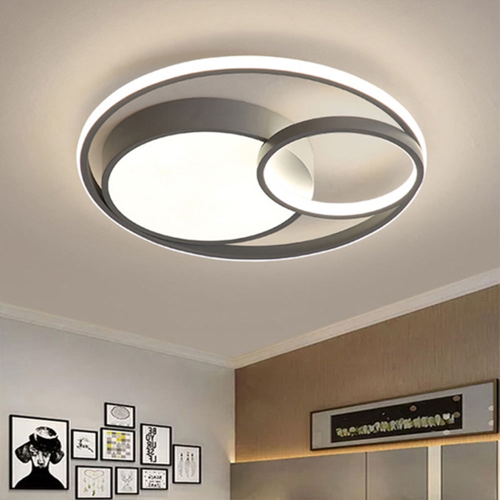 JJC Simple Ring Round LED Ceiling Lights for Bedroom Saloon Decoration Acrylic Cloakroom Light Modern Gold or Black Ceiling Lamp