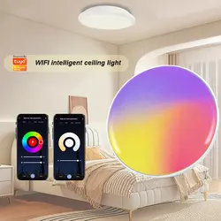 24W Indoor IP65 TUYA WIFI RGB+CCT Smart Work With Alexa Led Ceiling Light