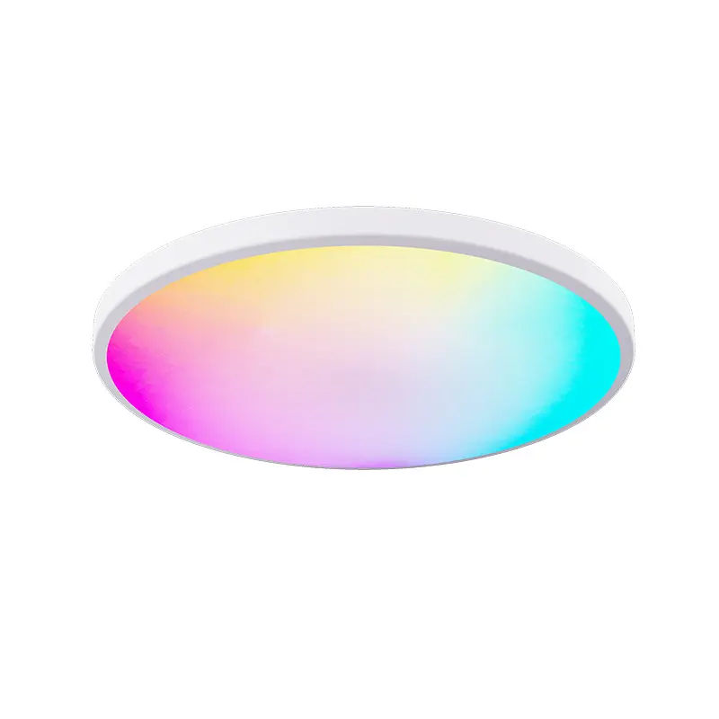 24W Indoor IP65 TUYA WIFI RGB+CCT Smart Work With Alexa Led Ceiling Light