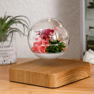 Flowers Plant Levitating light night light New Invention Magnetic Levitating Custom Unique Wedding Funny Preserved night light