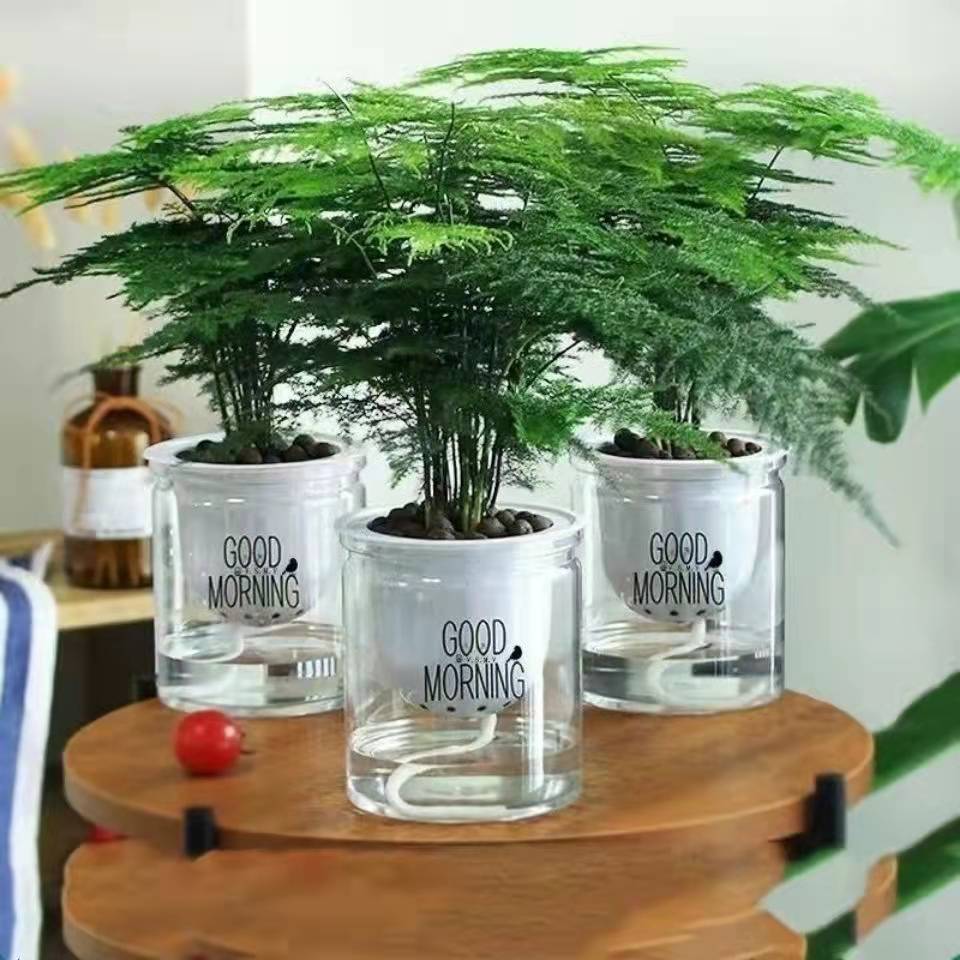 Indoor Office Round Hydroponic Transparent glass pot indoor flower pots Self Watering Plastic Flower Plant Pots In Bulk