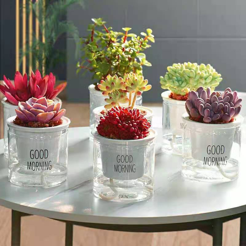 Indoor Office Round Hydroponic Transparent glass pot indoor flower pots Self Watering Plastic Flower Plant Pots In Bulk