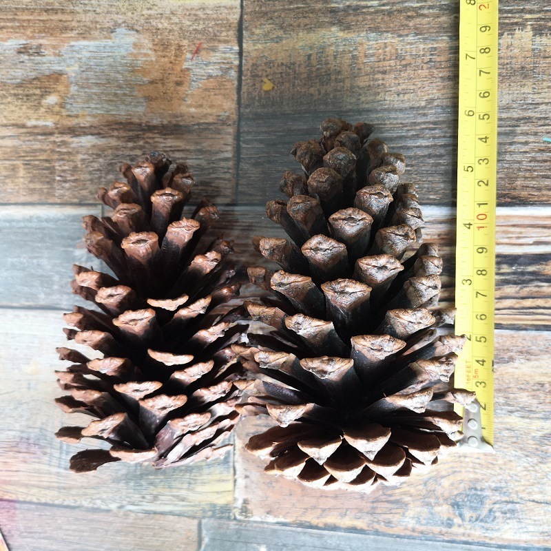 1-18CM Pineapple Christmas Decorative Pendant High Quality Wooden Natural Pine Cones Merry Christmas Decoration