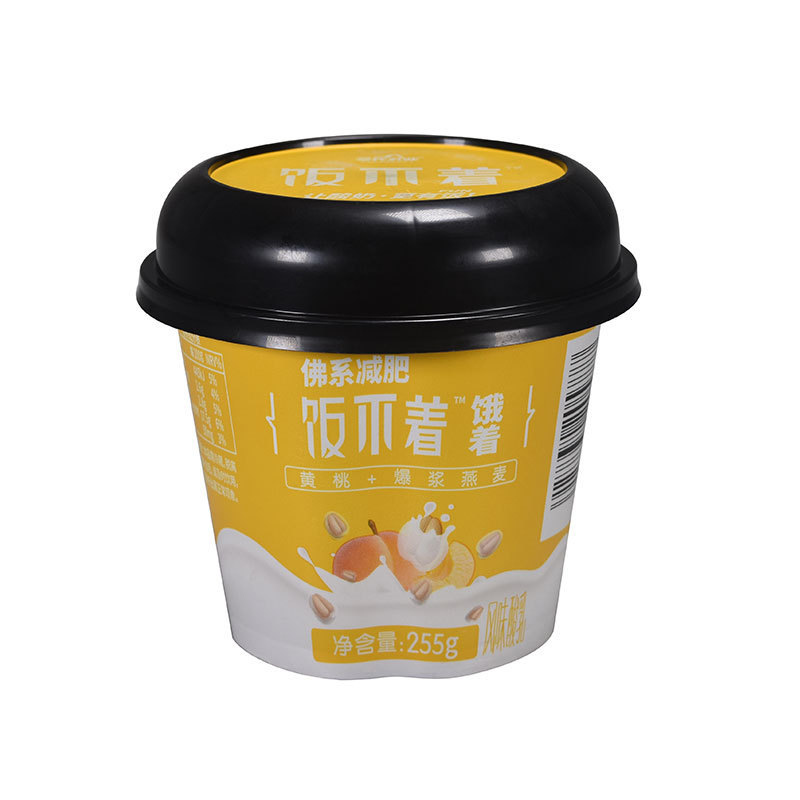 Manufacturer eco friendly disposable custom logo printed large 10oz round IML container frozen plastic yogurt container with lid