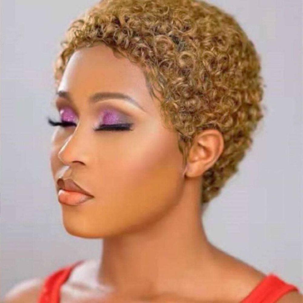 Wholesale Brazilian Human Hair Short Pixie Cut Wigs Human Hair Machine Make No Lace Wigs For Black Women-F-074