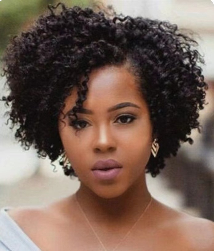 Wholesale Price High Quality Little Short Curly African Wig Hair Wigs Synthetic Wigs