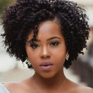 Wholesale Price High Quality Little Short Curly African Wig Hair Wigs Synthetic Wigs